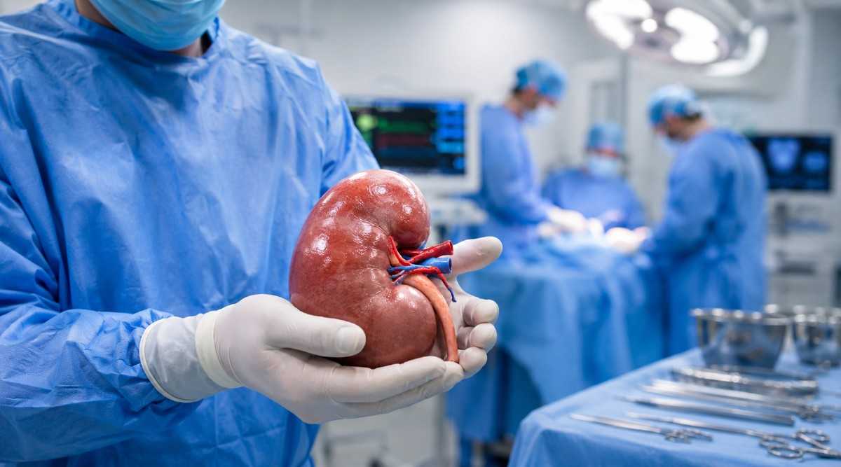 Kidney Transplant Blog